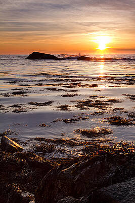 Reflection Wall Art featuring the photograph Dancing On The Tide by Jeff Sinon