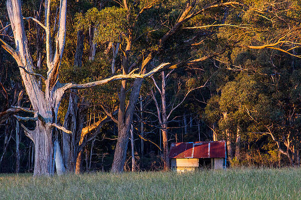 Country Wall Art featuring the photograph Day Is Done by Nicholas Blackwell