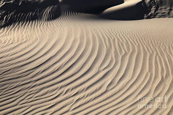 Textured Desert Sand Dunes Wall Art