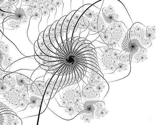 Modern Wall Art featuring the digital art Delicato by Vic Eberly