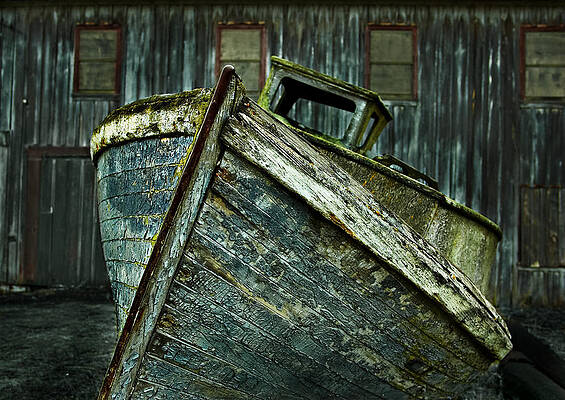 Nature Wall Art featuring the photograph Derelict Behind The Old Fish Cannery by Mary Jo Allen