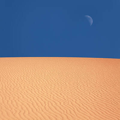 Wall Art featuring the photograph Desert Moon by Lordrunar