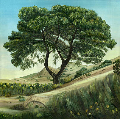 Serene Tree on a Hillside Wall Art
