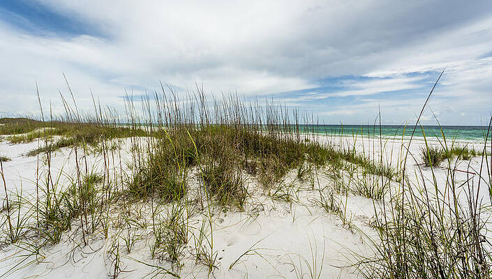 Natural Photograph - Deserted Beach by David Morefield