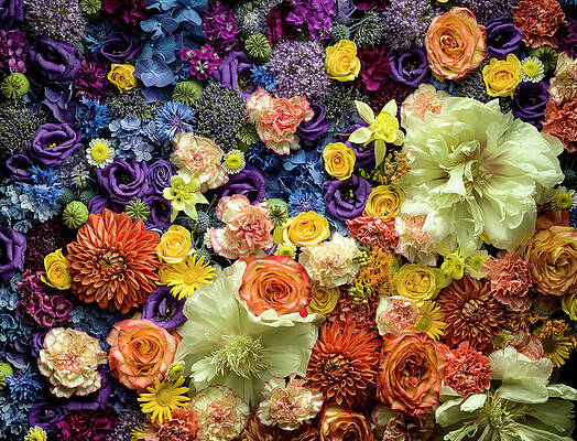 Wall Art featuring the photograph Detail Of Cut Flowers by Jonathan Knowles