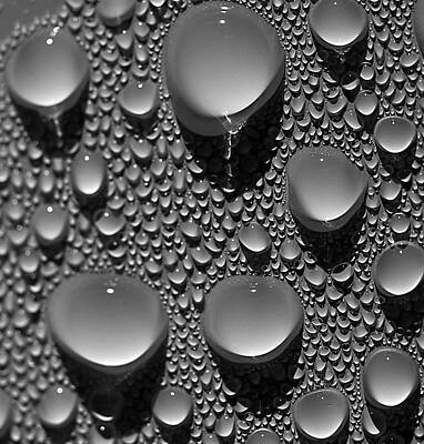 Wall Art featuring the photograph Dew Point by Joe Schofield