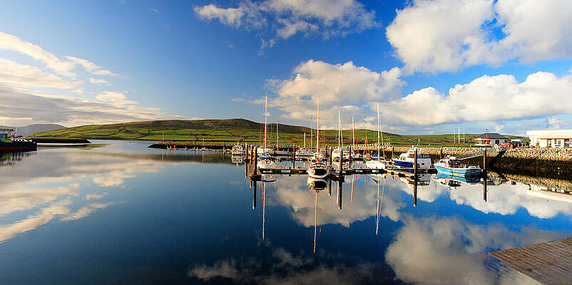 Reflection Wall Art featuring the photograph Dingle Marina by Mark Callanan