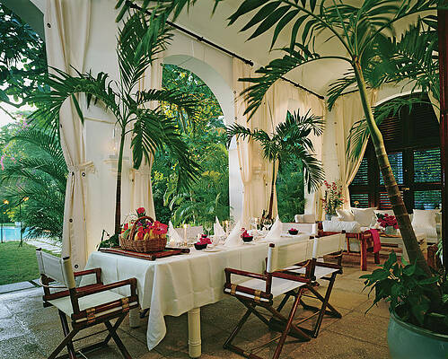 Elegant Tropical Dining Setup Wall Art