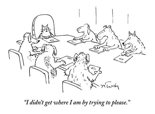 Animal Boardroom Meeting Drawing