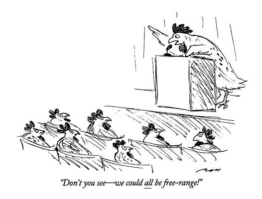 Chicken Wall Art featuring the drawing Don't You See - We Could All Be Free-range! by Al Ross