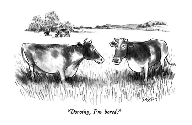 Cow Wall Art featuring the drawing Dorothy, I'm Bored by Charles Saxon
