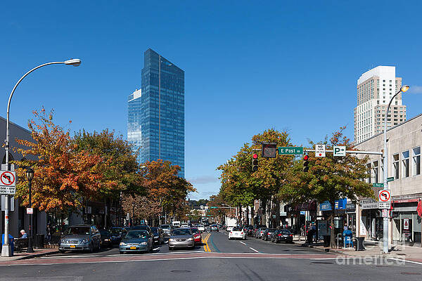 Downtown Street with Skyscraper Wall Art