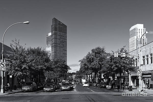 Wall Art featuring the photograph Downtown White Plains New York IV by Clarence Holmes