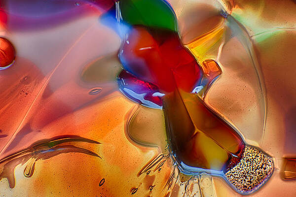 Photograph - DragonFlying by Omaste Witkowski