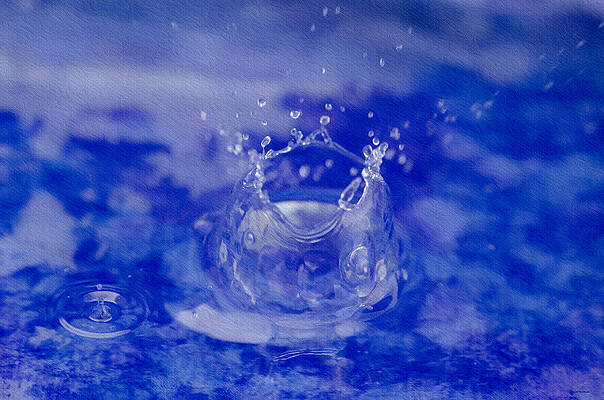 Wall Art featuring the photograph Water Drop And Splash by Crystal Wightman