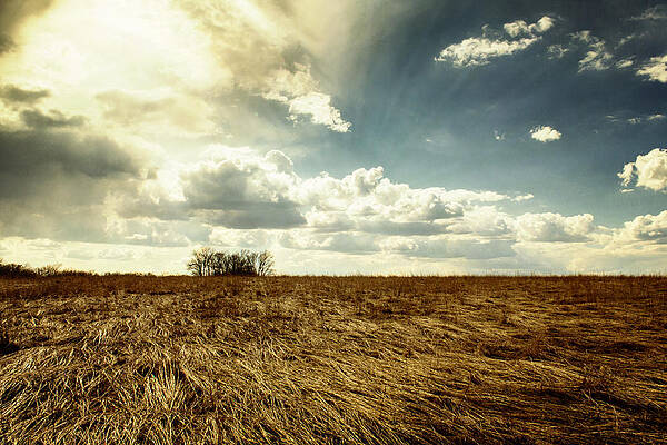 Landscape Wall Art featuring the photograph Dry Fields At Busch by Bill and Linda Tiepelman