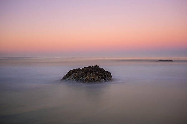 Wall Art featuring the photograph Dum Spiro Spero by Adam Mateo Fierro