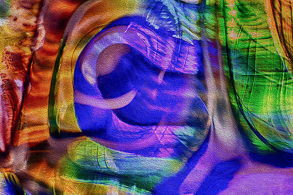 Wall Art featuring the photograph Ear To The Stars by Omaste Witkowski