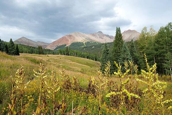 Colorado Photograph - Early Autumn In The San Juans -  Mount Wilson And Wilson Peak by Cascade Colors