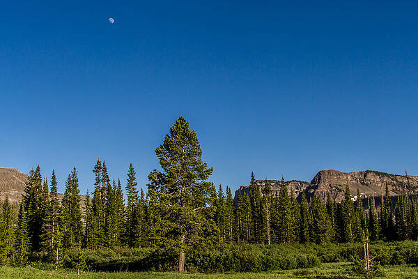 Nature Photograph - Early Evening by Jeff Stoddart