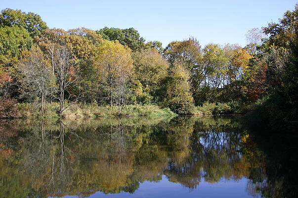 Fall Photograph - Early Fall In UW Arboretum by Natural Focal Point Photography