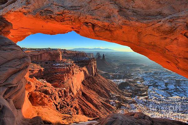 Wall Art featuring the photograph Early Morning Surprise by Adam Jewell