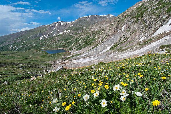 Colorado Photograph - Early Summer In The Colorado Rockies by Cascade Colors