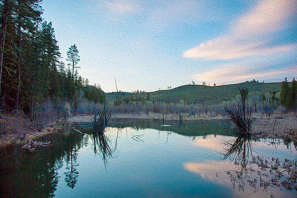 Wall Art featuring the painting Early Sunset On A Beaver Pond by Omaste Witkowski