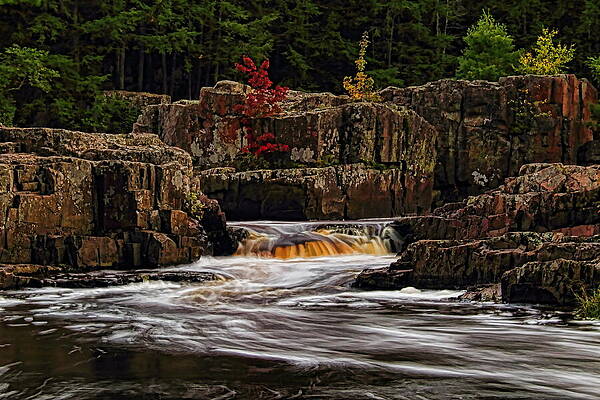 Wild Photograph - Waterfall Under Colored Leaves by Dale Kauzlaric