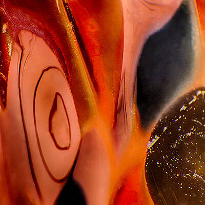 Photograph - Elfin by Omaste Witkowski