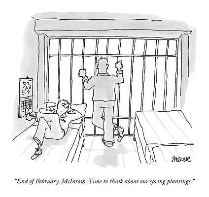 Gardening Drawing - End Of February by Jack Ziegler