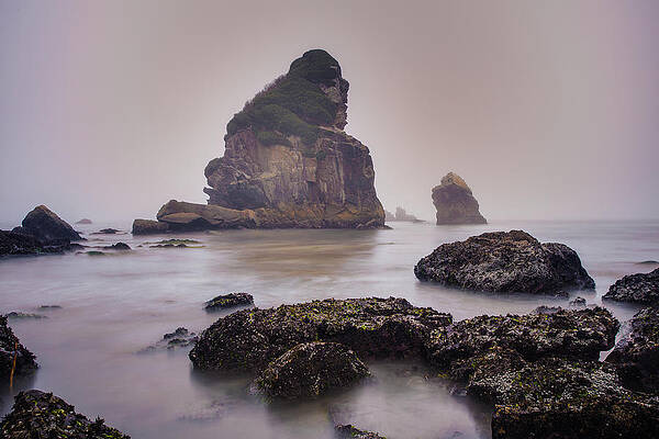 Photograph - Enduring by Adam Mateo Fierro