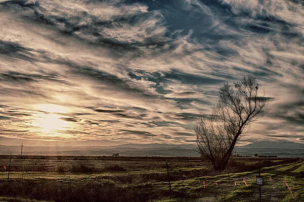 Wall Art featuring the photograph Ethereal Sky by Lisa Chorny