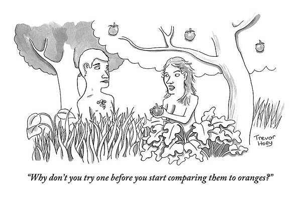 Adam Wall Art featuring the drawing Eve Hands An Apple To Adam In The Garden Of Eden by Trevor Hoey