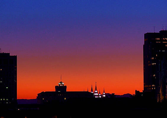 Wall Art featuring the photograph Evening Glow by Rona Black