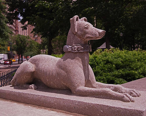 Wall Art featuring the photograph Ever Vigilant by Rona Black