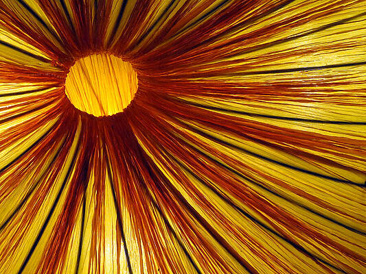 Color Wall Art featuring the photograph Exploding Sun by Rick Locke - Out of the Corner of My Eye