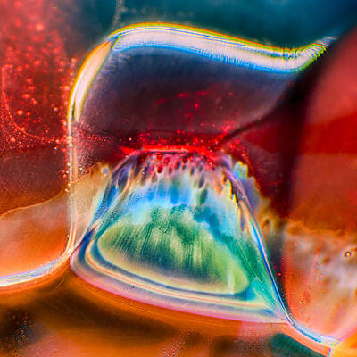 Photograph - Eyeland by Omaste Witkowski