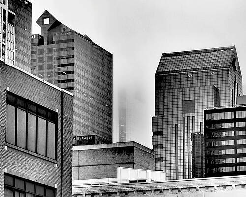 Wall Art featuring the photograph Fade To Grey by Rona Black