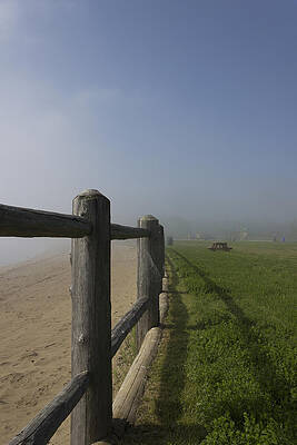 Wall Art featuring the photograph Fading To Fog by Linda Ryma