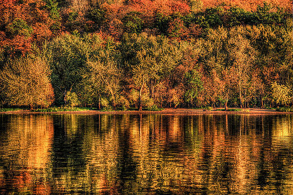 Autumn Forest Reflected in Calm Water Photograph