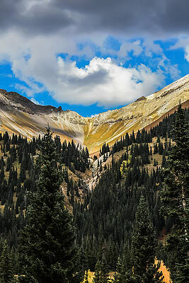 Colorado Photograph - Fall On Red Mountain Pass by Jeff Stoddart
