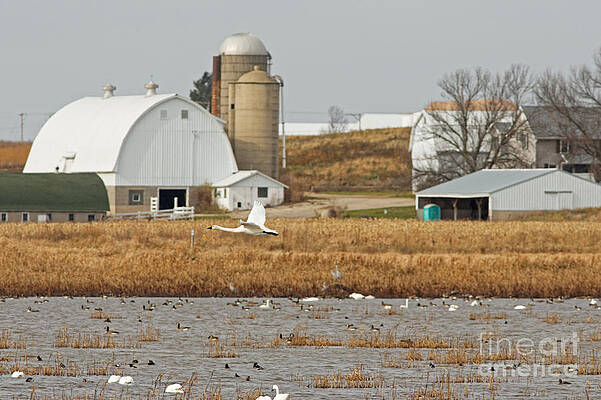 Fall Photograph - Fall Pond In The Wisconsin Farmland by Natural Focal Point Photography
