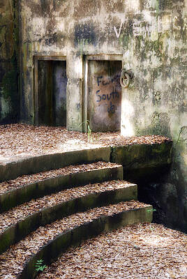 Forsake Wall Art featuring the photograph Fallen by Ghostwinds Photography