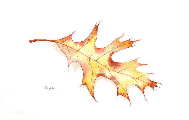 Falling by Catherine Bede