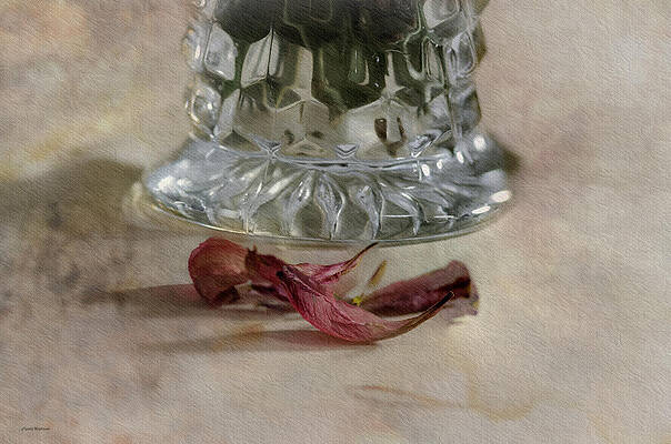 Love Photograph - Falling Lily Petals by Crystal Wightman