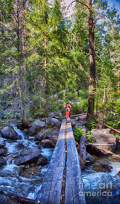 Photograph - Falls Creek Footbridge by Omaste Witkowski