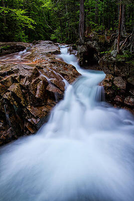 Wall Art featuring the photograph Falls In The Forest by Jeff Sinon