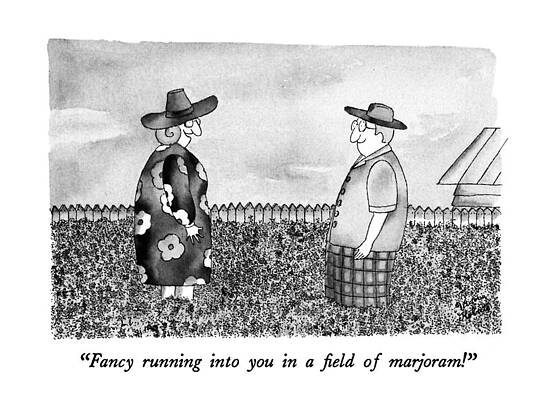 Gardening Drawing - Fancy Running Into You In Field Of Marjoram! by Victoria Roberts