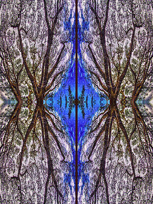 Washington Wall Art featuring the digital art Fantasy Life by Omaste Witkowski